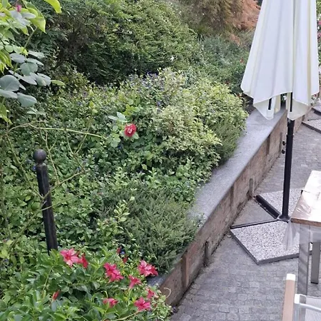 Montisclari Monchiero