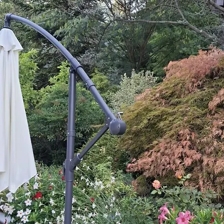 Bed & Breakfast Montisclari