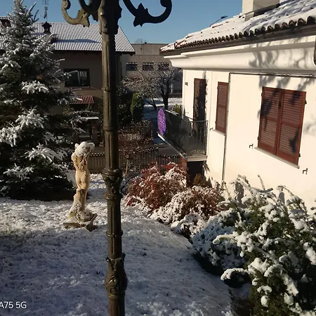 Montisclari Монкьеро